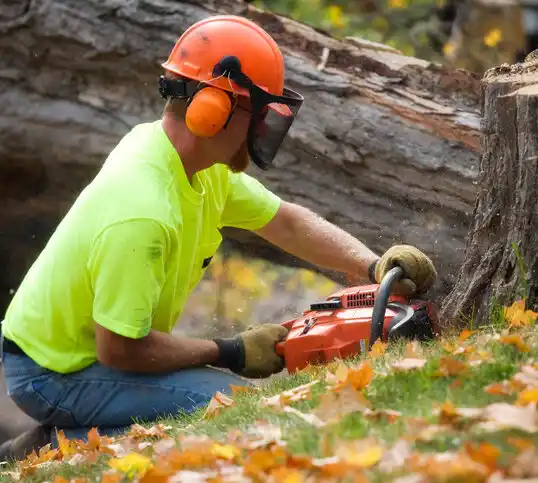 tree services Tryon